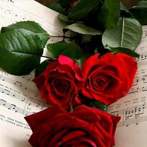 Meet your Posher, Narda